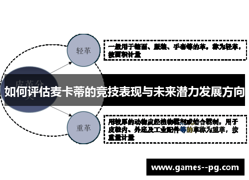 如何评估麦卡蒂的竞技表现与未来潜力发展方向