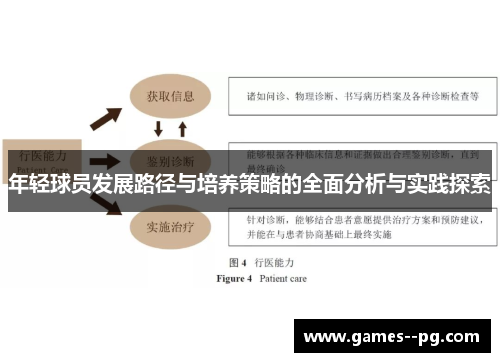 年轻球员发展路径与培养策略的全面分析与实践探索