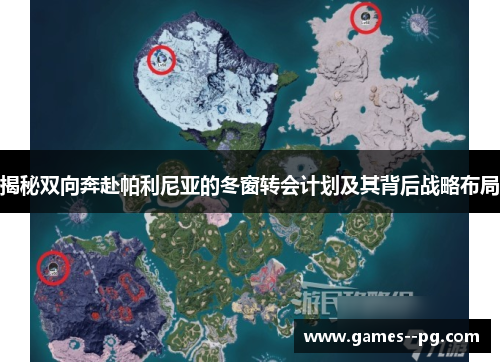 揭秘双向奔赴帕利尼亚的冬窗转会计划及其背后战略布局