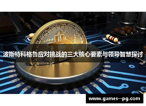 波斯特科格鲁应对挑战的三大核心要素与领导智慧探讨