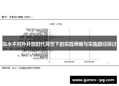 高水平对外开放时代背景下的实践策略与实施路径探讨